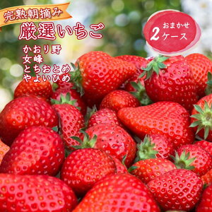 yӂ邳Ɣ[Łzy2026N1{ zI 8`18 2P[X i킨܂ n ƂƂ 悢Ђ   Hה  Â ͔|Ԓ_sgp ̂ V