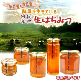 【ふるさと納税】はちみつ 非加熱 国産 純粋 百花蜜 単花蜜 国産はちみつ 100% 純粋はちみつ 生はちみつ 純粋 美味しい おすすめ 美肌 健康維持 5,000円 5,000