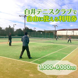 【ふるさと納税】テニスクラブ利用券 1,000円～6,000円分 レンタルテニスコート＆スクール対応 ラケットやボールの貸出あり 手ぶらでテニス テニスコート利用 レンタルテニスコート レンタルコート テニス練習 テニススクール 体験レッスン 商品券 利用券