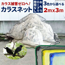 【ふるさと納税】ゴミネット 2x3m 45Lゴミ袋約10個分 3色（黒 黄 青） カラスよけネット カラスネット 細かい網目 4mm おもり入り おもり付き ロープ付き 頑丈 防鳥ネット ゴミ置き場 ゴミステーション 設置簡単 高耐候性 折りたたみ