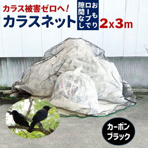 yӂ邳Ɣ[ŁzS~lbg 2x3m 45LS~ܖ10 3Fi  j JX悯lbg JXlbg ׂԖ 4mm  [vt  hlbg S~u S~Xe[V 