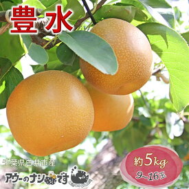【ふるさと納税】【2026年秋収穫分】豊水 先行予約 梨 5kg 9～16玉 農家直送 採りたて もぎたて 新鮮 果汁たっぷり 甘い みずみずしい 美味しい おすすめ アウーファーム【お届け地域限定】