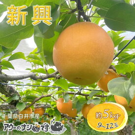 【ふるさと納税】【2026年秋収穫分】新興 先行予約 梨 5kg 9～12玉 農家直送 採りたて もぎたて 新鮮 甘い みずみずしい 美味しい おすすめ アウーファーム【お届け地域限定】