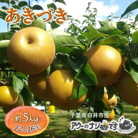 【ふるさと納税】【2026年秋収穫分】あきづき 先行予約 梨 5kg 9～16玉 農家直送 採りたて もぎたて 新鮮 果汁たっぷり 甘い みずみずしい 美味しい おすすめ アウーファーム【お届け地域限定】