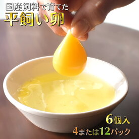 【ふるさと納税】平飼い卵 新鮮たまご 産卵後2日以内に発送 養鶏場直送 国産飼料 生卵 卵かけご飯 TKG 平飼い 赤玉 濃厚 鶏卵 栄養 甘み