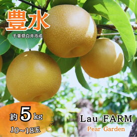 【ふるさと納税】【2026年秋収穫分】豊水 先行予約 梨 5kg 10～18玉 10箱限定 農家直送 採りたて もぎたて 新鮮 果汁たっぷり 甘い みずみずしい 美味しい おすすめ LauFARM梨園