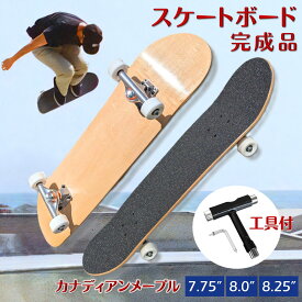 【ふるさと納税】スケートボード 完成品 7.75"／8.0"／8.25" 初心者から上級者向け カナディアンメープル Tツール 工具付き WalnutSkate スケボー コンプリート 組み立て済み ストリート パーク トリック用 初心者 ウィール 硬さ 99a ウィール 53mm ベアリング ABEC11