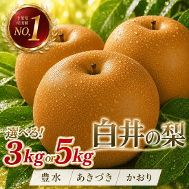 【ふるさと納税】【2026年先行予約】選べる品種 しろいの梨 3kg～5kg（豊水・あきづき・かおり） 梨 豊水 梨 あきづき 梨 かおり 3kg 5kg 梨 千葉 梨 千葉県 和梨 なし ナシ 3キロ 5キロ フルーツ 果物 くだもの 甘い ジューシー 白昇園 白井市 ふるさと納税