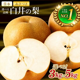 【ふるさと納税】　千葉県 白井の梨　選べる容量 3kg　5kg　選べる品種　豊水　あきづき　 梨 なし ナシ 和梨 フルーツ 果物 くだもの 白井市