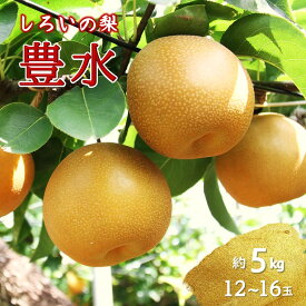 【ふるさと納税】【2026年秋収穫分】豊水 梨 5kg 12~16玉 先行予約 しろいの梨 ジューシー 甘い 白井中央梨選果場組合