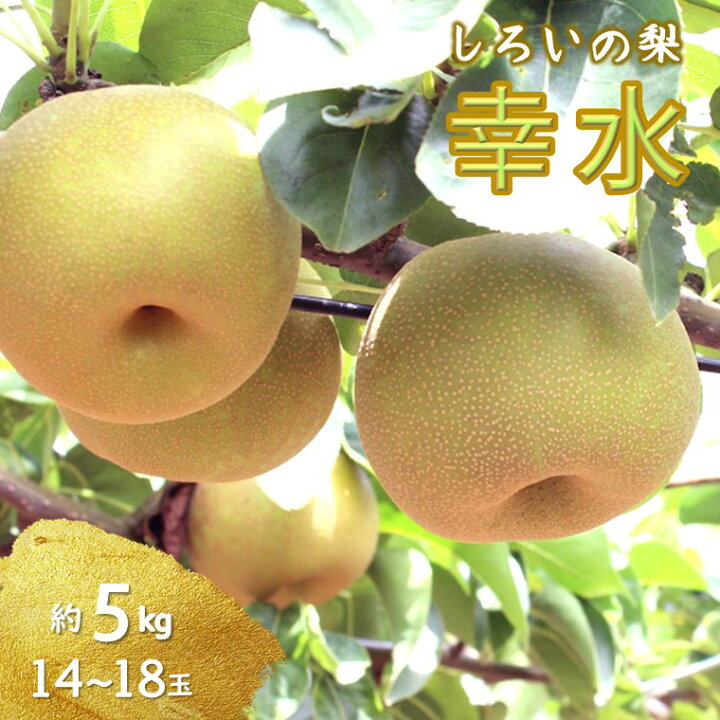 幸水梨5キロ、シャインマスカット5キロ詰め合わせです。｜果物