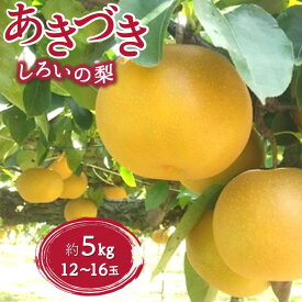 【ふるさと納税】梨 あきづき 5kg 12～16玉 千葉県 白井市 しろいの梨