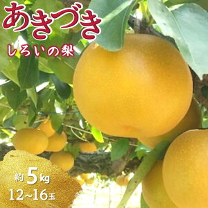 yӂ邳Ɣ[Łzy2026NHnzÂ  5kg 12`16 \t 낢̗ 䒆Iʏg Â  t[c K L V ʕ Y Yi  W W W