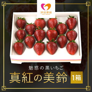 �y�ӂ邳�Ɣ[�Łz�y2026�N2�����珇�������z ���f�̍��������u�^�g�̔���v1�� �ӂ邳�Ɣ[�� �������C�`�S � �^�g�̔��� �������� ���C�`�S ���񂭂݂̂��� �Â� ���n ���f �� �[�g ���C��