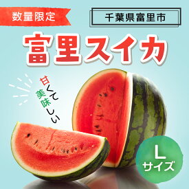 【ふるさと納税】 富里スイカ(Lサイズ)1玉 すいか スイカ 西瓜 千葉県 富里市 果物 フルーツ 採れたて とれたて 産地直送 農家直送 千葉県産 ちば 千葉すいか 千葉スイカ 富里 富里すいか 富里スイカ 甘い あまい 美味しい おいしい 大玉 大玉すいか 大玉スイカ TMF005