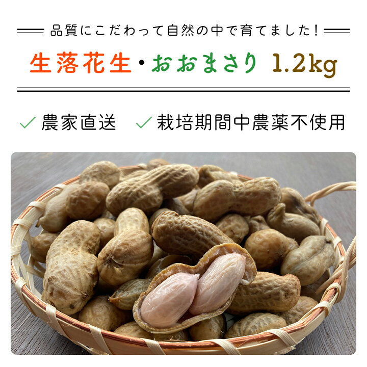 楽天市場】【ふるさと納税】【新豆】農家直送！千葉県産「生落花生  