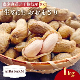 【ふるさと納税】【先行予約・新豆 】【栽培期間中農薬不使用】千葉県産 大粒 農家直送！「生落花生」おおまさり1kg 【 ふるさと納税 人気 おすすめ ランキング 皮付き 殻付き ピーナッツ ピーナツ 落花生 生落花生 おおまさり オオマサリ 千葉県 富里市 送料無料 】TML008