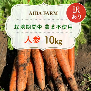 yӂ邳Ɣ[Łzy12`2zy͔|Ԓ_sgpz󂠂lQ10kg AIBA FARM@Bi /  ɂ񂶂 lQ jW Y Â 󂠂 s B organic t[hX t xs TML007