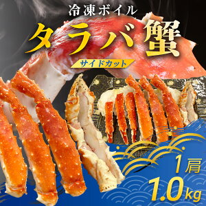 yӂ邳Ɣ[ŁzⓀ{C^oIiTChJbgj5L@TMN013 / ӂ邳Ɣ[ ΂ ΃Kj ^oKj ^oI ⓀI Ⓚ ⓀJj   ^o TChJbg XN