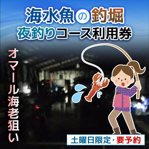 yӂ邳Ɣ[Łz^ C̒ޖxނR[XpiyjEI}[CV_̖ނ聦v\j / ӂ邳Ɣ[ p `Pbg ނ tBbVO ނx ޖx C  