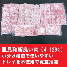 楽天市場 ふるさと納税 肉 小分けの通販