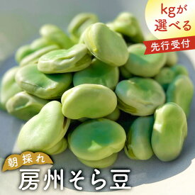 【ふるさと納税】 【kgが選べる】【先行受付 2026年4月25日頃～5月中旬発送予定】朝採れ房州そら豆 千葉県 南房総市 新鮮 香り 甘み シンプル 塩茹で そら豆ご飯 パスタ 春巻き ポタージュ 天ぷら フリット アヒージョ おつまみ 送料無料