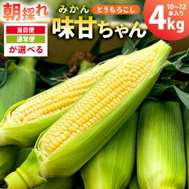 【ふるさと納税】【当日便・通常便が選べる】【先行受付 2026年6月20日頃～8月上旬発送予定】早朝収穫！とうもろこし10～12本（味甘ちゃん・みかんちゃん） 千葉県 南房総市 甘み 格別 生野菜 茹で 焼き 蒸し 鮮度 グルメ 糖度が 高い 送料無料
