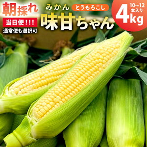 �y�ӂ邳�Ɣ[�Łz�y�����ցE�ʏ�ւ��I�ׂ�z�y��s��t 2026�N6��20�����`8����{�����\��z�������n�I�Ƃ����낱��10�`12�{�i���Â����E�݂��񂿂��j ��t�� ��[���s �Â� �i�� ����