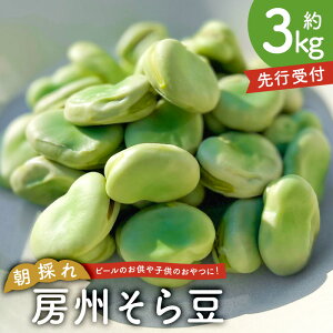 yӂ邳Ɣ[Łz ykgIׂzyst 2026N425`5{\ẑ[B瓤 t [s VN  Â Vv 䥂 瓤 pX^ t |^[W V