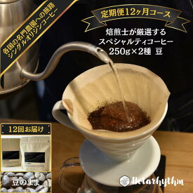【ふるさと納税】 【定期便】スペシャルティコーヒー豆 焙煎士セレクト 250g×2種【豆】 12ヶ月 千葉県 南房総市 個性 焙煎 ブラジル コロンビア グアテマラ インドネシア ケニア エチオピア フレッシュ コーヒー豆 送料無料