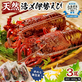 【ふるさと納税】【天然】甘み凝縮！活〆冷凍伊勢海老900g以上（300g×3尾） 千葉県 南房総市 お取り寄せ グルメ 海の幸 魚介 海鮮 個包装 お刺身 高品質 贈り物 お祝い品 味噌汁 送料無料