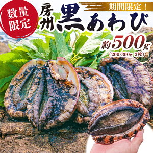 yӂ邳Ɣ[Łz yst 2026N5`9{\zyʌz[B  500g (200/300g × 2)t [s  L Yi CY hg x Mtg J ܂