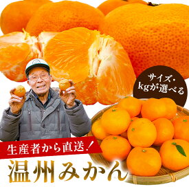 【ふるさと納税】【サイズと内容量が選べる】 【先行受付 2025年11月20日頃から順次発送】 温州みかん 千葉県 南房総市 果物 果実 フルーツ お取り寄せ グルメ 濃い色味 甘い 柔らかい ちばエコ農産物 柑橘類 S M L 2L 送料無料