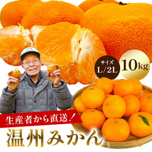 yӂ邳Ɣ[ŁzyTCYƓeʂIׂz yst 2025N1120珇z B݂ t [s ʕ ʎ t[c  O ZF Â _炩 ΃G