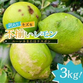 【ふるさと納税】【先行受付 2026年2月下旬～4月中旬発送予定】【訳あり】キズ有 不揃いレモン 3kg ユーレカまたはリスボン 千葉県 南房総市 甘み 果物 果実 フルーツ グリーンレモン イエローレモン 柑橘類 国産 お取り寄せ グルメ ちばエコ農産物 送料無料