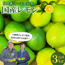 【ふるさと納税】国産レモン3kg(リスボン・ユーレカ) mi0032-0006 千葉県 南房総市 甘み 果物 フルーツ グリーンレモン イエローレモン お取り寄せ グルメ 送料無料