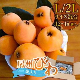 【ふるさと納税】【先行受付 2026年5月中旬～6月下旬発送予定】房州びわ L・2Lサイズ混合袋びわ（袋入） 千葉県 南房総市 特産品 食べ応え フルーツ 果物 お取り寄せ グルメ 送料無料