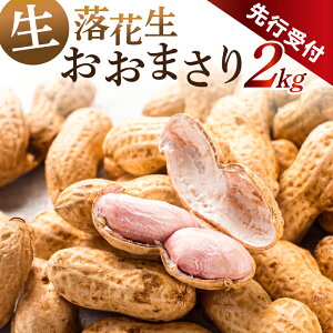 yӂ邳Ɣ[Łzyst 2025N8{`9{\z[sY Ԑ܂ 2kg t [s Ԑ ܂ s[ibc Â zNzN ܂ ӎ  嗱 