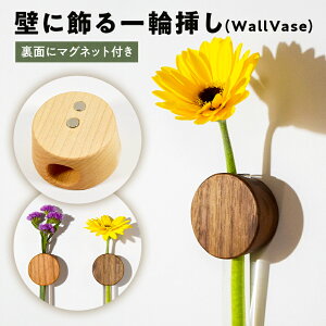 yӂ邳Ɣ[Łzǂɏ?֑}(WallVase) t [  R CeA G RpNg ؐ }Olbg 