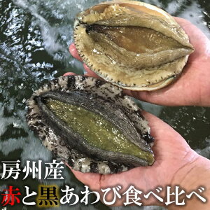 3koas7sbxo8v7m 3koas7sbxo8v7m