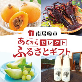 【ふるさと納税】 【金額が選べる】あとからセレクト【ふるさとギフト】 千葉県 南房総市 伊勢海老 魚介 海の幸 海鮮 果物 野菜 生鮮品 工芸品 お取り寄せ グルメ 送料無料