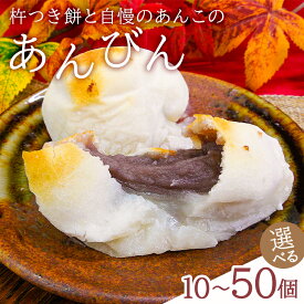 【ふるさと納税】 高評価 ★レビュー 【容量が選べる】杵つき餅と自慢のあんこの｢あんびん（こし餡）｣ こしあん セット ヒメノモチ 保存料不使用化粧箱 お土産 お取り寄せ グルメ スイーツ 和菓子 お菓子 お餅 小豆 お雑煮 焼き餅 お汁粉 正月 千葉県 南房総市 送料無料