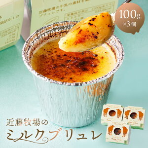 yӂ邳Ɣ[Łz ߓq̃~Nu 100g×3Zbg t [s  fU[g َq ÂT Ɛ i ① mَq ~Nu  O 