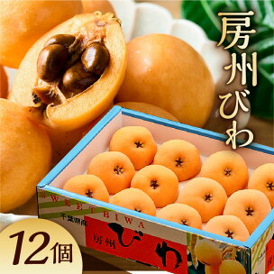 【5月31日決済完了まで受付】房州びわ(露地)12粒入2...