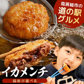 【ふるさと納税】 【個数が選べる】イカメンチ （1パック3個入り） 千葉県 南房総市 海鮮 メンチ 晩御飯 おかず おつまみ おやつ 惣菜 揚げるだけ 簡単 調理 時短 料理 便利 お手軽 パック お弁当 お取り寄せ グルメ セット 送料無料
