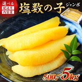 【ふるさと納税】【配送月・内容量が選べる】塩数の子ジャンボ 1本羽 千葉県 南房総市 ニシン 大きい 特大 卵 魚卵 食感 バリバリ 塩漬け 小分け レシピ同封 お正月 おせち 立派 揚げ物 簡単 お手軽 送料無料