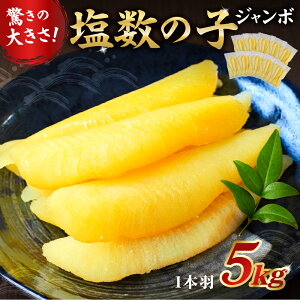 �y�ӂ邳�Ɣ[�Łz�y12��21�����ϊ������܂ŔN���z���z�y�z�����E���e�ʂ��I�ׂ�z�����̎q�W�����{ 1�{�H ��t�� ��[���s �j�V�� �傫�� ���� �� ���� �H�� �o���o�� ���Ђ� ������ ���V�s