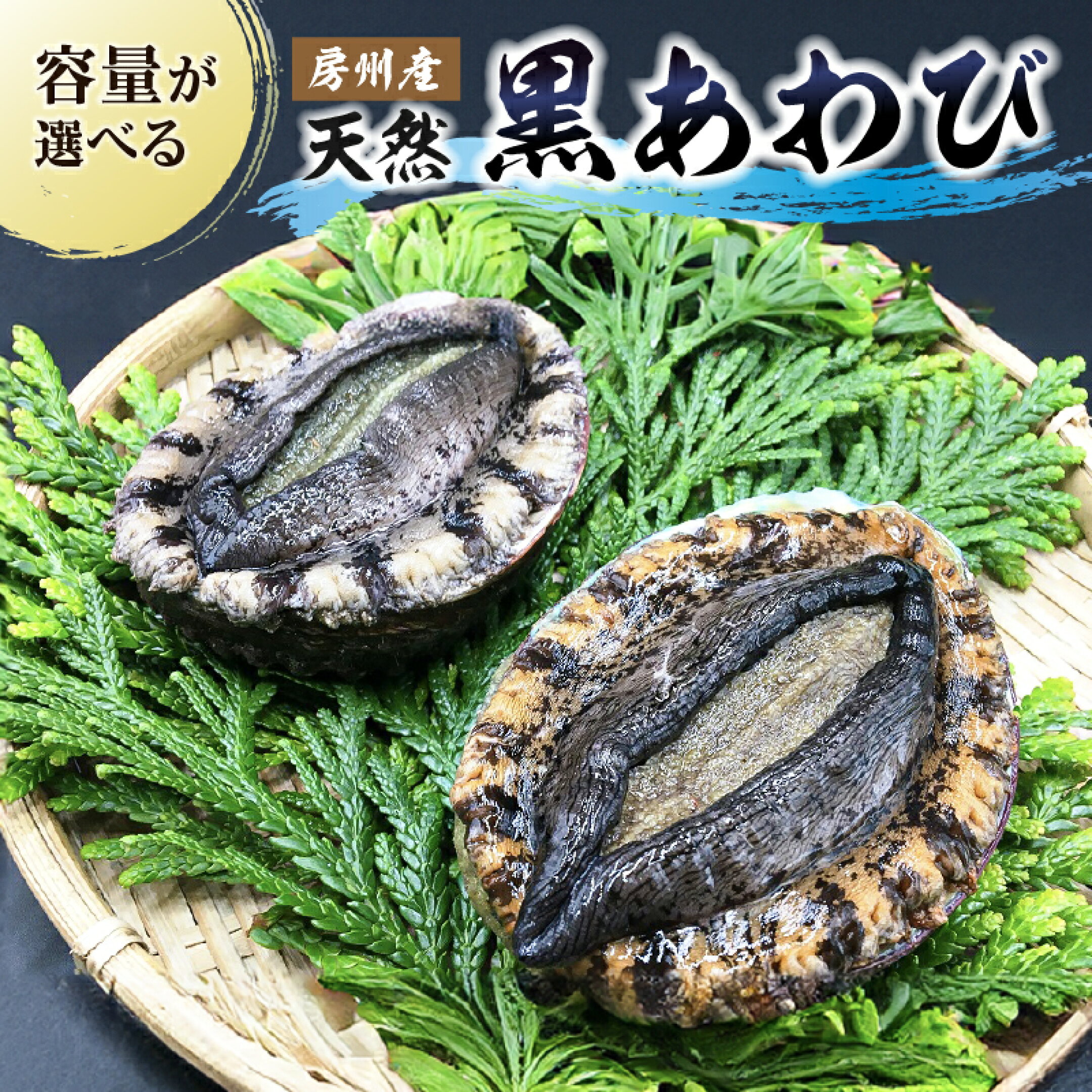 【容量が選べる】房州産天然黒あわび