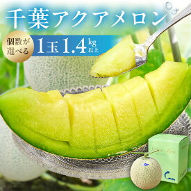 【ふるさと納税】【個数が選べる】 高評価レビュー 千葉アクアメロン マスクメロン 1玉1.4kg 千葉県 南房総市 こだわり 香り 甘味 味わい 化粧箱入り ご褒美 贈り物 お祝い事 フルーツ 果物 お取り寄せ グルメ 送料無料