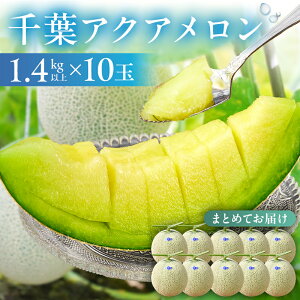 yӂ邳Ɣ[ŁzyIׂz ]r[ tANA }XN 11.4kg t [s   Ö 킢 ϔ J 蕨 j t[c ʕ 